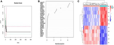 Development of a joint diagnostic model of thyroid papillary carcinoma with artificial neural network and random forest